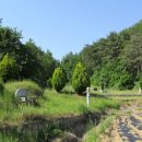 창녕읍사무소 이미지