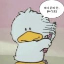 호텔 별 | 셀프 웨딩촬영 웨딩스냅 추천 후기 : 강원도 켄싱턴호텔 설악 장소별 촬영 시안+꿀팁