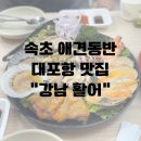 강남활어 | 속초 애견동반 대포항 맛집 강남활어