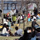 이 시국에 한강공원은 '밀실 텐트'가 '다닥다닥'..거리 두기 '무색' [김기자의 현장+] 이미지