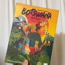 가족 보드게임 | 5인 추천 보드게임 보츠와나 가족 보드게임 추천 개봉기, 게임 플레이 후기