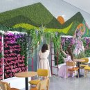 구례백두대간생태교육장 이미지