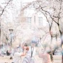 죠이헬스 이미지