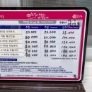 솔게스트하우스 정동진점 이미지