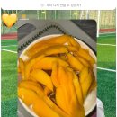 요거트월드(수진역점) 네이버블로그