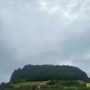 용주면_성산리(배출하우스)_1 | 제주 서귀포 여행 성산일출봉 섭지코지