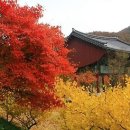 영광목장 이미지