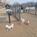 살곶이체육공원 | [서울 성동구] 살곶이 반려견 운동장 주차 꿀팁 및 후기