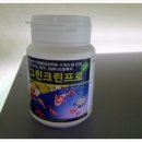 더 프로크린 이미지