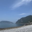 서포비치 이미지