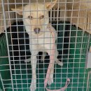 회원동225 이미지