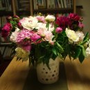 책과영화의 만남 이미지