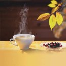 덴마크보청기 이미지