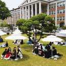 이엠디자인스튜디오