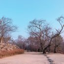 선진공원 주차장 이미지