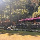 달둔소낭펜션 이미지