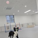 차차네 유치원 이미지