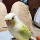 논산시 동물보호센터 이미지