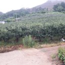 덕산면043 이미지