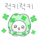 쏘타 웨이브
