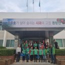 충주 조동천 충북일보