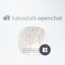 소미네일 네이버블로그