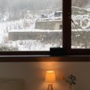 하미토미풀밭 이미지