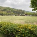 용인자연휴양림 이미지