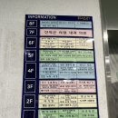 나은병원본관5층 | 일산통증관리 임산부 산전 관리 전문 더나은체형교정원 솔직후기