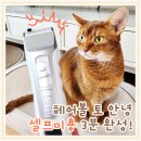 남창애견샵 복실강아지 | 고양이 헤어볼 토 해결! 바론 프로바리깡으로 단모종 셀프 미용 성공 후기