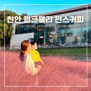 핀스커피 | 천안 핑크뮬리 카페 핀스커피 개화상황 절정 아이랑 대형 베이커리까페 솔직 후기