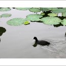 만석공원 이미지