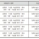 체정한의원 Daum카페