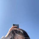 빵이펫살롱 | 포항항 찍먹 '0'