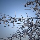 약속의 땅 이미지