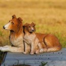 베이동물병원 이미지