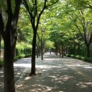 산본 문화의 거리 이미지