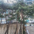 야탑고교.예비군훈련장 이미지