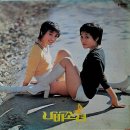 님생각 / 나비소녀 (1978) 이미지