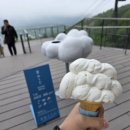 운해 | 27] 운해보러 갔지만 못봤지만 결코 후회없는 호시노 리조트 토마무 ‘운해테라스’(체험 콘텐츠, 후기)