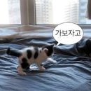 디디유네일