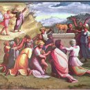 금송아지 이미지