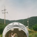 백령고등학교 이미지