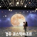 늘봄꽃화원 | 경주 코스믹리조트 20개월 아기랑 다녀온 경주 실내 가볼 만한 곳