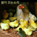 두산리경로당 이미지
