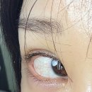 10통 | 속눈썹영양제 추천 :: 에보아이 10통째 구입한 내돈내산 후기!