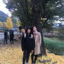 왕언니건어물 이미지