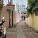 삼백번지 이미지