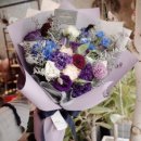 석전동286 이미지