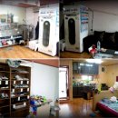 운동화세탁소 이미지